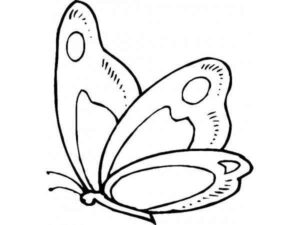 Desenho de Borboletas Desenho Colorir Imprimir 016