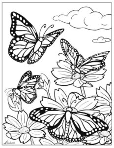 Desenho de Borboletas Desenho Colorir Imprimir 049