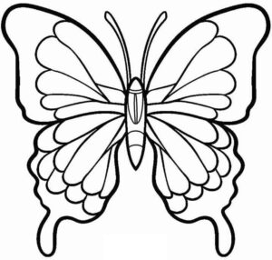 Desenho de Borboletas Desenho Colorir Imprimir 050