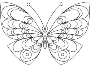 Desenho de Borboletas Desenho Colorir Imprimir 054