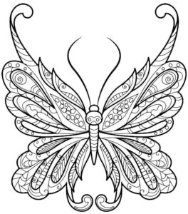 Desenho de Borboletas Desenho Colorir Imprimir 068