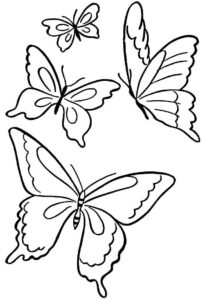 Desenho de Borboletas Desenho Colorir Imprimir 071