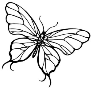 Desenho de Borboletas Desenho Colorir Imprimir 072