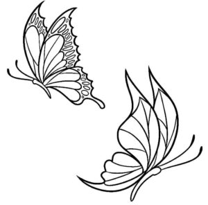 Desenho de Borboletas Desenho Colorir Imprimir 073