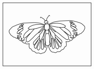 Desenho de Borboletas Desenho Colorir Imprimir 089
