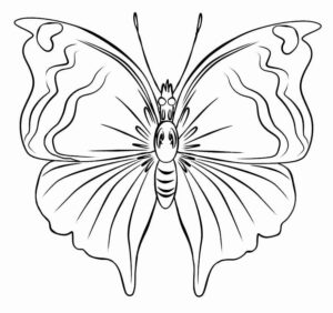 Desenho de Borboletas Desenho Colorir Imprimir 100