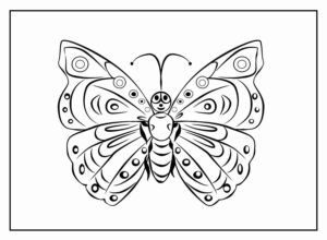Desenho de Borboletas Desenho Colorir Imprimir 101