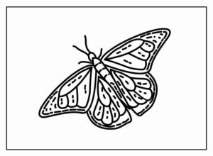 Desenho de Borboletas Desenho Colorir Imprimir 104