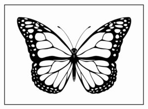 Desenho de Borboletas Desenho Colorir Imprimir 105