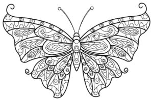 Desenho de Borboletas Desenho Colorir Imprimir 107