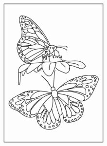 Desenho de Borboletas Desenho Colorir Imprimir 114