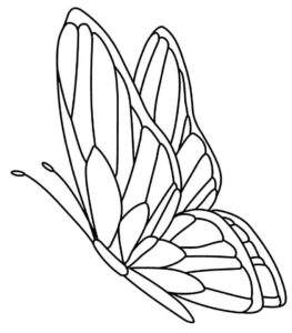 Desenho de Borboletas Desenho Colorir Imprimir 115