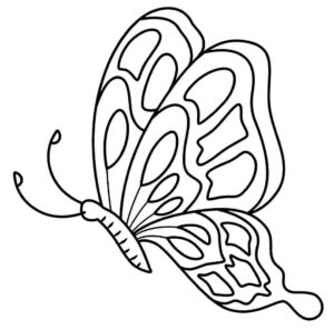 Desenho de Borboletas Desenho Colorir Imprimir 116
