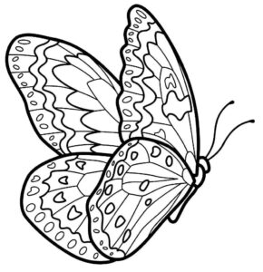 Desenho de Borboletas Desenho Colorir Imprimir 118