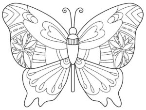 Desenho de Borboletas Desenho Colorir Imprimir 121