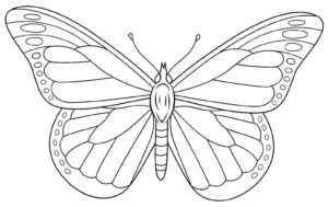 Desenho de Borboletas Desenho Colorir Imprimir 124
