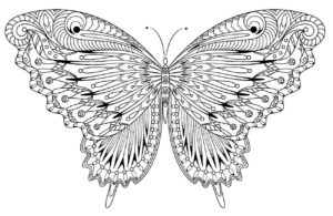 Desenho de Borboletas Desenho Colorir Imprimir 125