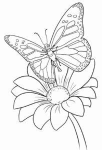 Desenho de Borboletas Desenho Colorir Imprimir 128