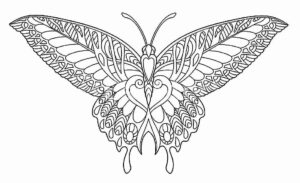 Desenho de Borboletas Desenho Colorir Imprimir 129