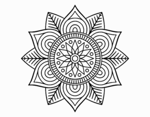 Desenho de Mandala Da Flor Da Estrela
