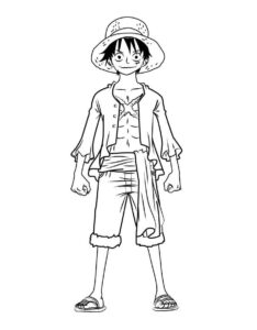 Desenho de One Piece Desenho Colorir Imprimir 29