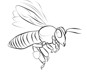 Desenho de Abelhas Desenho Colorir Imprimir 23