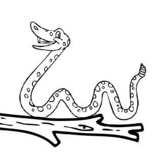 Desenho de Boitata Para Colorir
