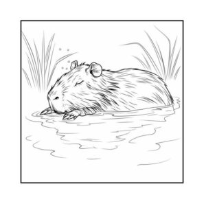 Desenho de Capivara Desenho Colorir Imprimir 048
