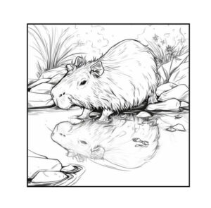 Desenho de Capivara Desenho Colorir Imprimir 059