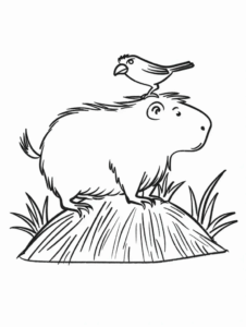 Desenho de Capivara Desenho Colorir Imprimir 072
