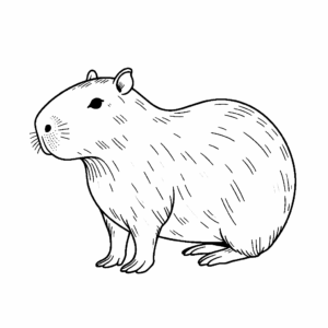 Desenho de Capivara Desenho Colorir Imprimir 099