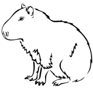 Desenho de Capivara Desenho Colorir Imprimir 111