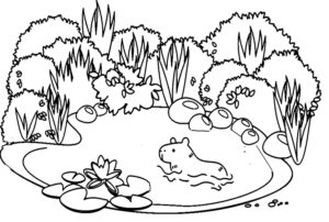 Desenho de Capivara Desenho Colorir Imprimir 112