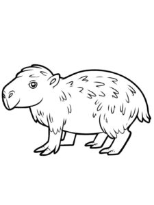 Desenho de Capivara Desenho Colorir Imprimir 115