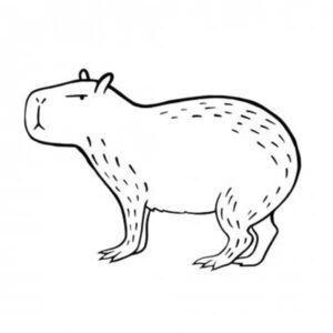 Desenho de Capivara Desenho Colorir Imprimir 122
