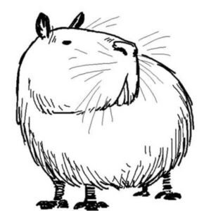 Desenho de Capivara Desenho Colorir Imprimir 123