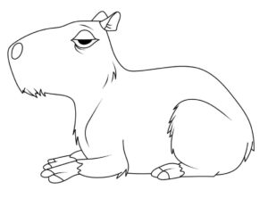 Desenho de Capivara Desenho Colorir Imprimir 124