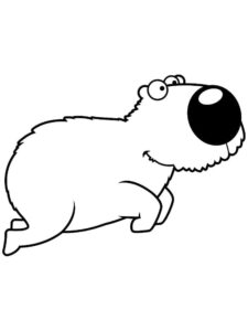 Desenho de Capivara Desenho Colorir Imprimir 126