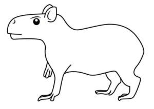 Desenho de Capivara Desenho Colorir Imprimir 127