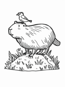 Desenho de Capivara Desenho Colorir Imprimir 140