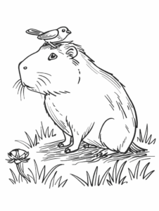 Desenho de Capivara Desenho Colorir Imprimir 141