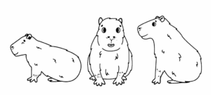 Desenho de Capivara Desenho Colorir Imprimir 177