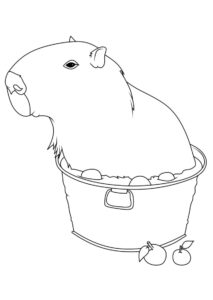 Desenho de Capivara Desenho Colorir Imprimir 187