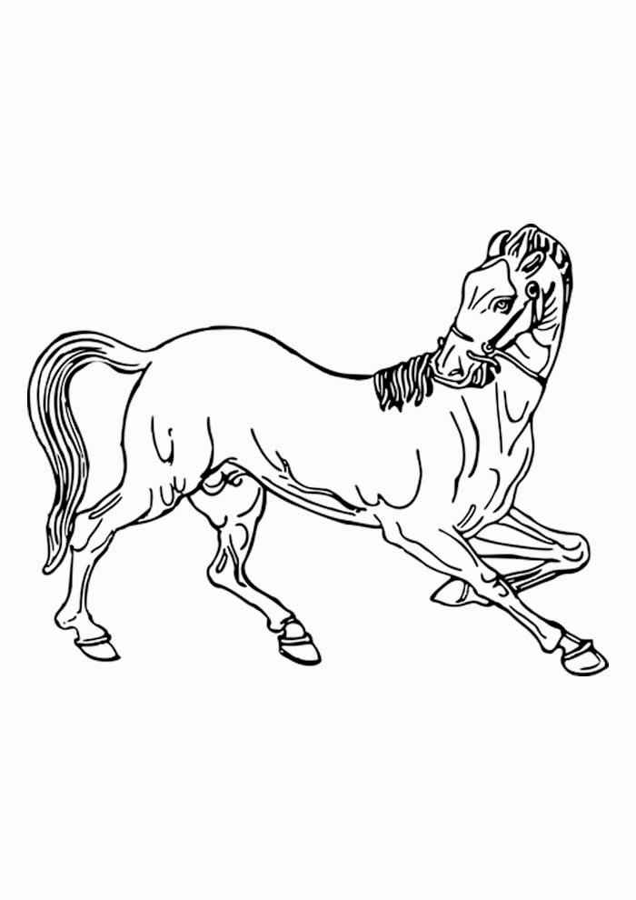 Desenho de Cavalo Desenho Colorir Imprimir 004