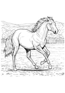 Desenho de Cavalo Desenho Colorir Imprimir 021