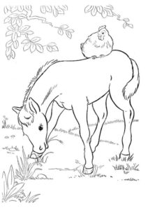Desenho de Cavalo Desenho Colorir Imprimir 023