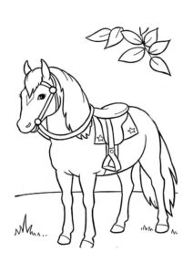 Desenho de Cavalo Desenho Colorir Imprimir 030