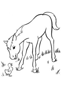 Desenho de Cavalo Desenho Colorir Imprimir 035