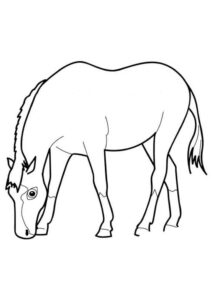 Desenho de Cavalo Desenho Colorir Imprimir 042