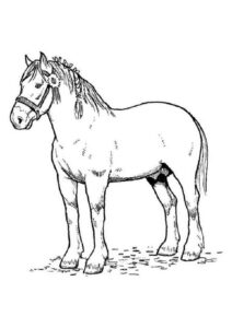 Desenho de Cavalo Desenho Colorir Imprimir 046
